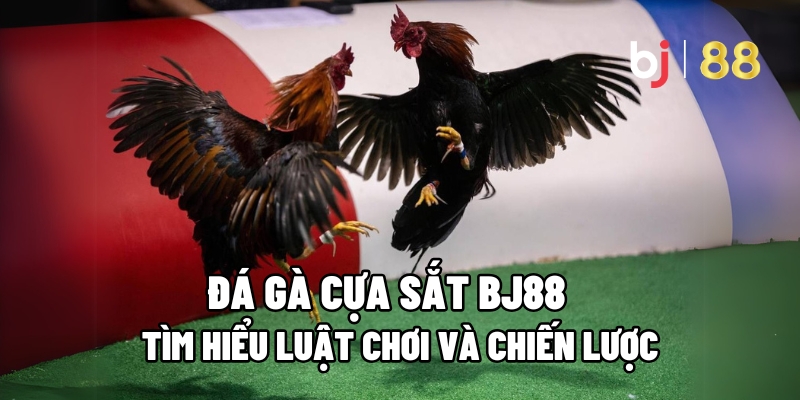 Đá Gà Cựa Sắt