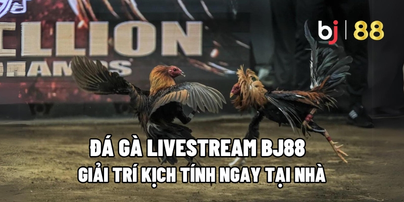 Đá gà livestream